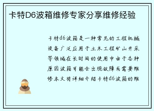 卡特D6波箱维修专家分享维修经验