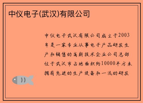 中仪电子(武汉)有限公司